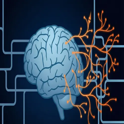 Neuroplasticidade